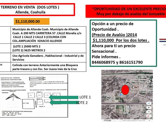 #189 - Terreno para Venta en Allende - CH - 1