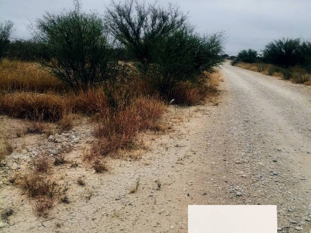 Terreno para Venta en Sabinas - 5