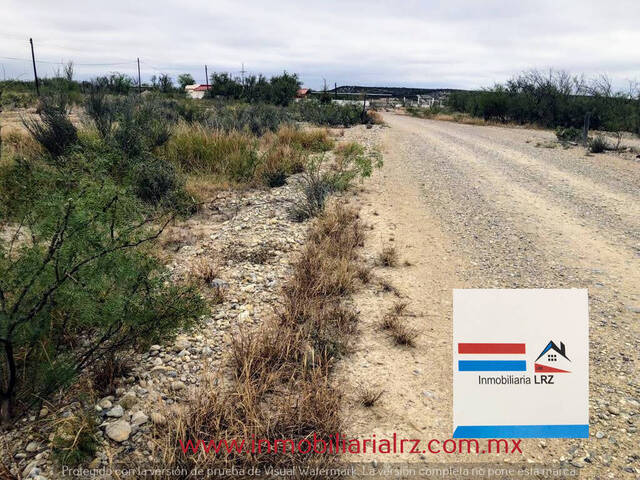 #197 - Terreno para Venta en Sabinas - CH - 3