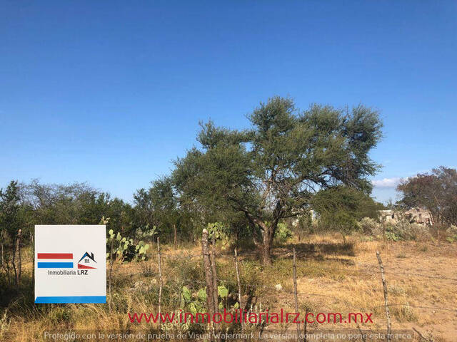 Terreno para Venta en Múzquiz - 4