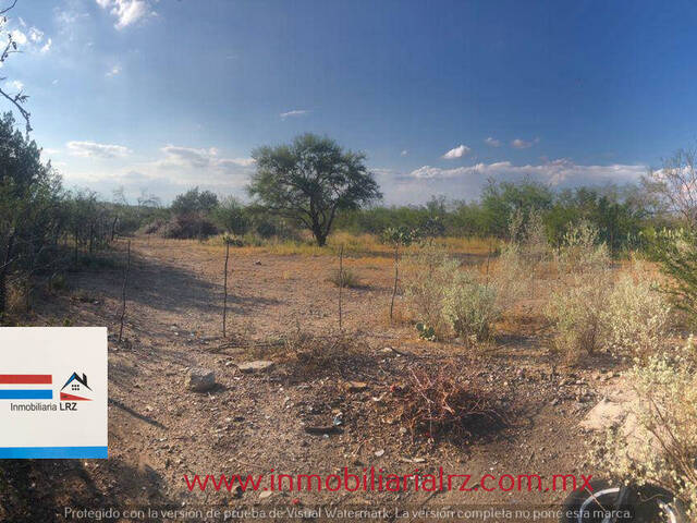 Terreno para Venta en Múzquiz - 5