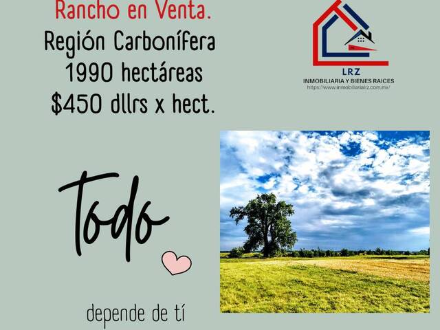 #237 - Ranchos ,Granjas y Fincas para Venta en Sabinas - CH - 1