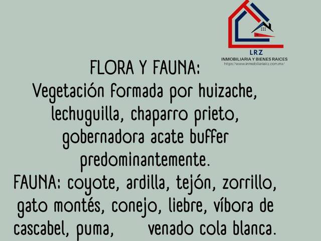 Ranchos ,Granjas y Fincas para Venta en Sabinas - 5