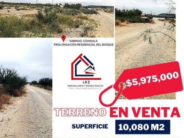 #197 - Terreno para Venta en Sabinas - CH - 1