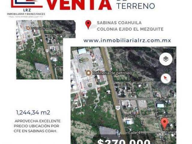 #90 - Terreno para Venta en Sabinas - CH - 1