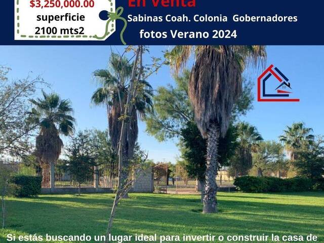#301 - Terreno para construcción para Venta en Sabinas - CH - 1
